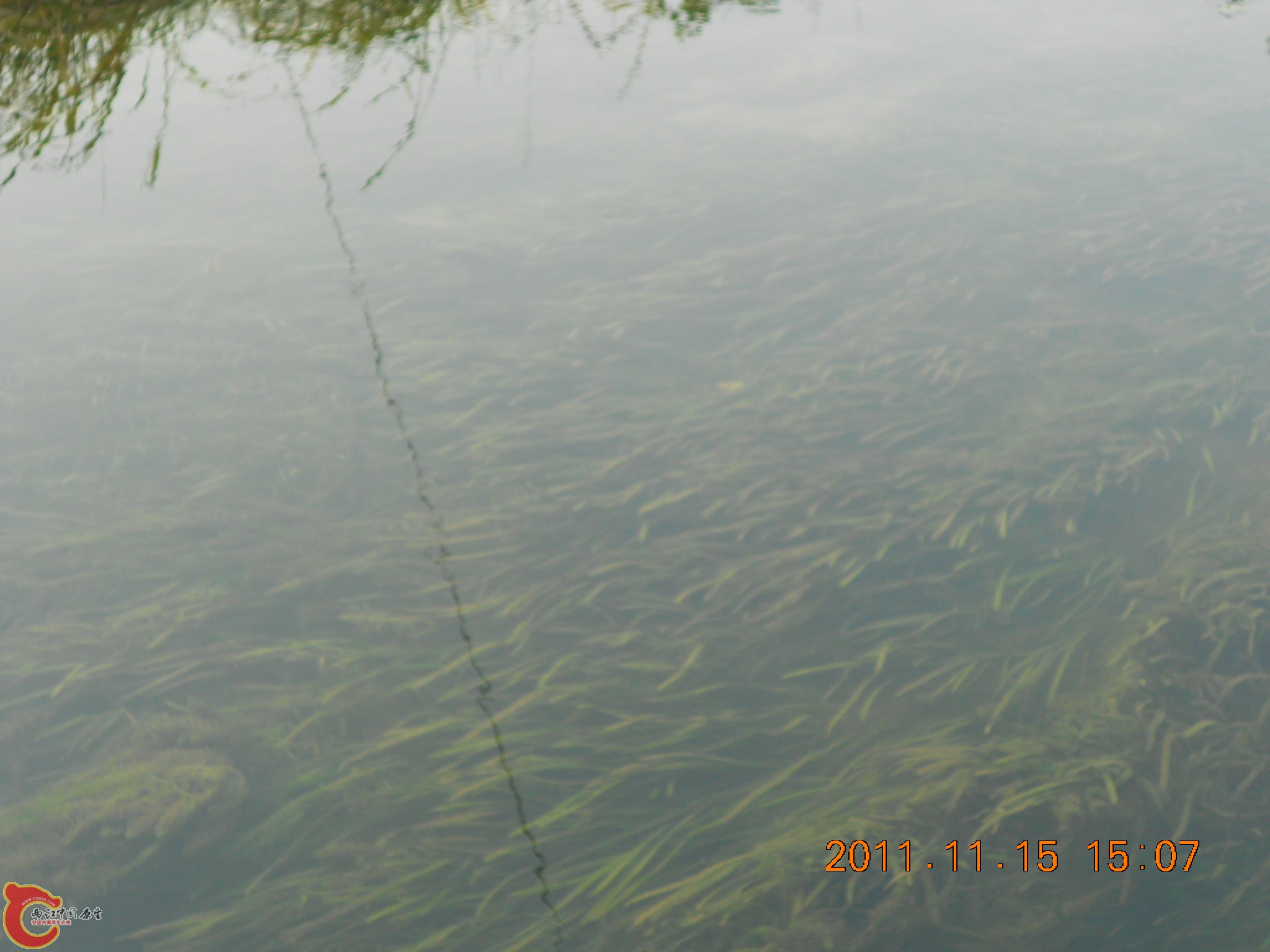 DSCN2115.JPG