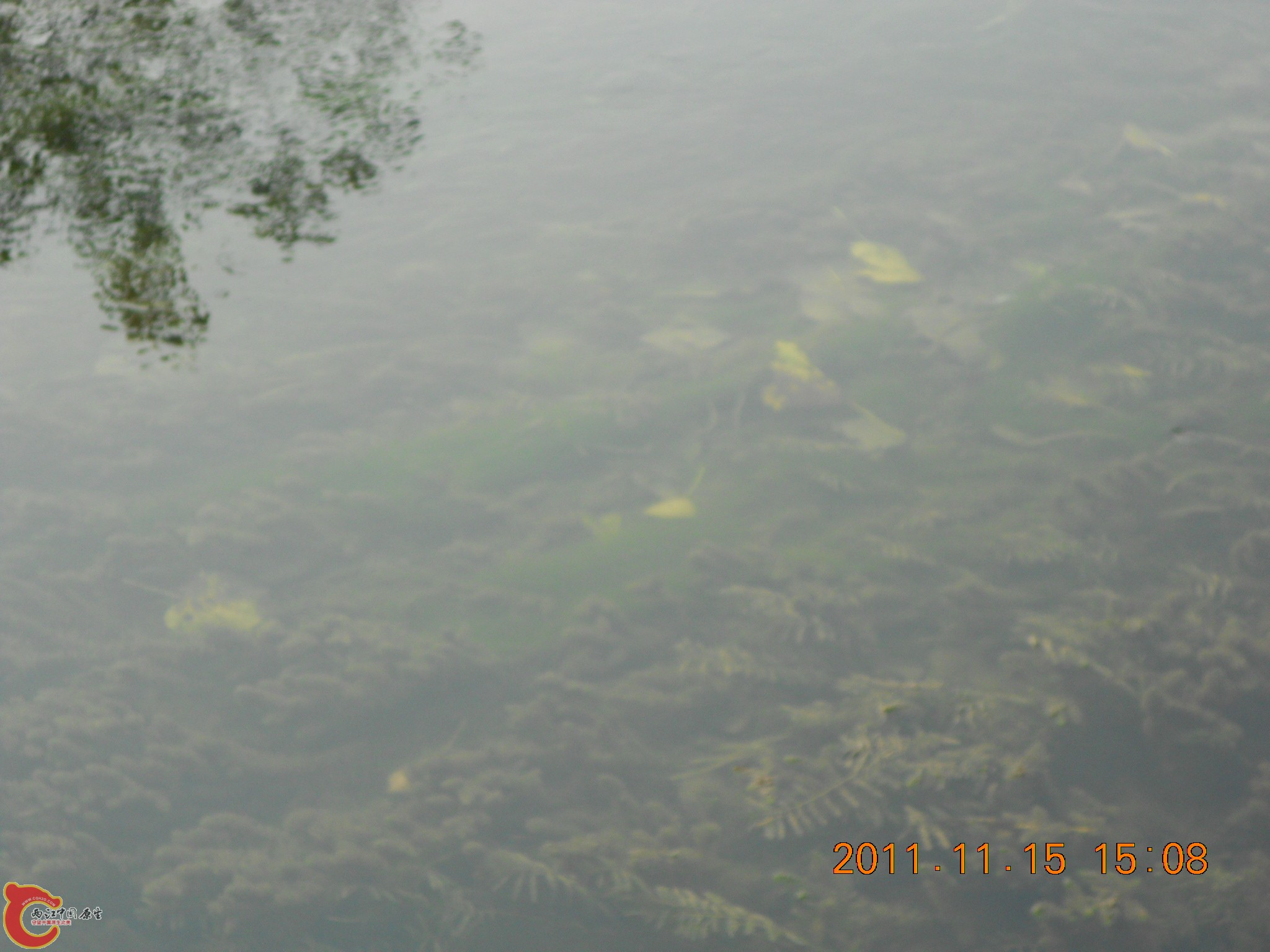 DSCN2116.JPG