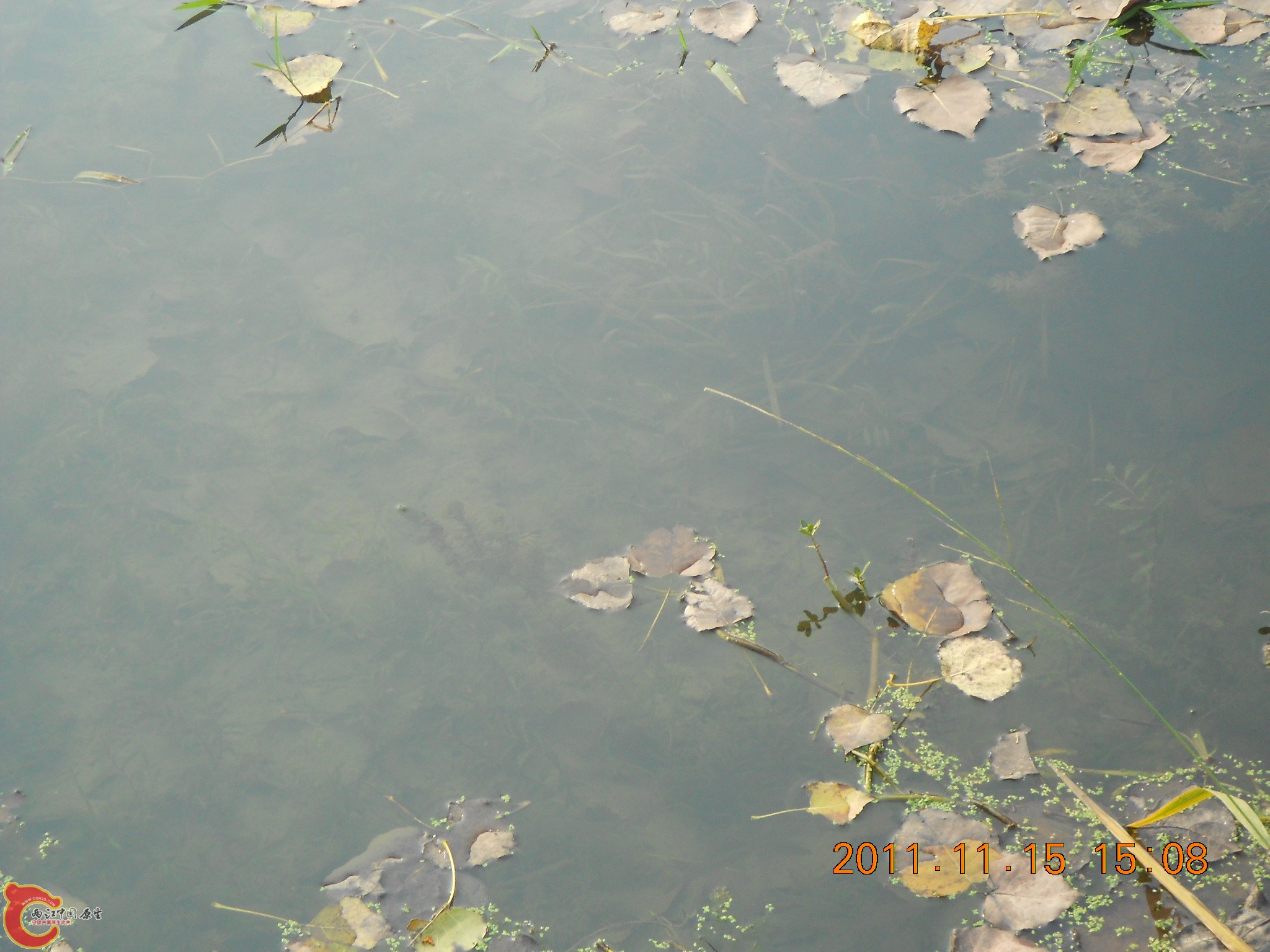 DSCN2117.JPG