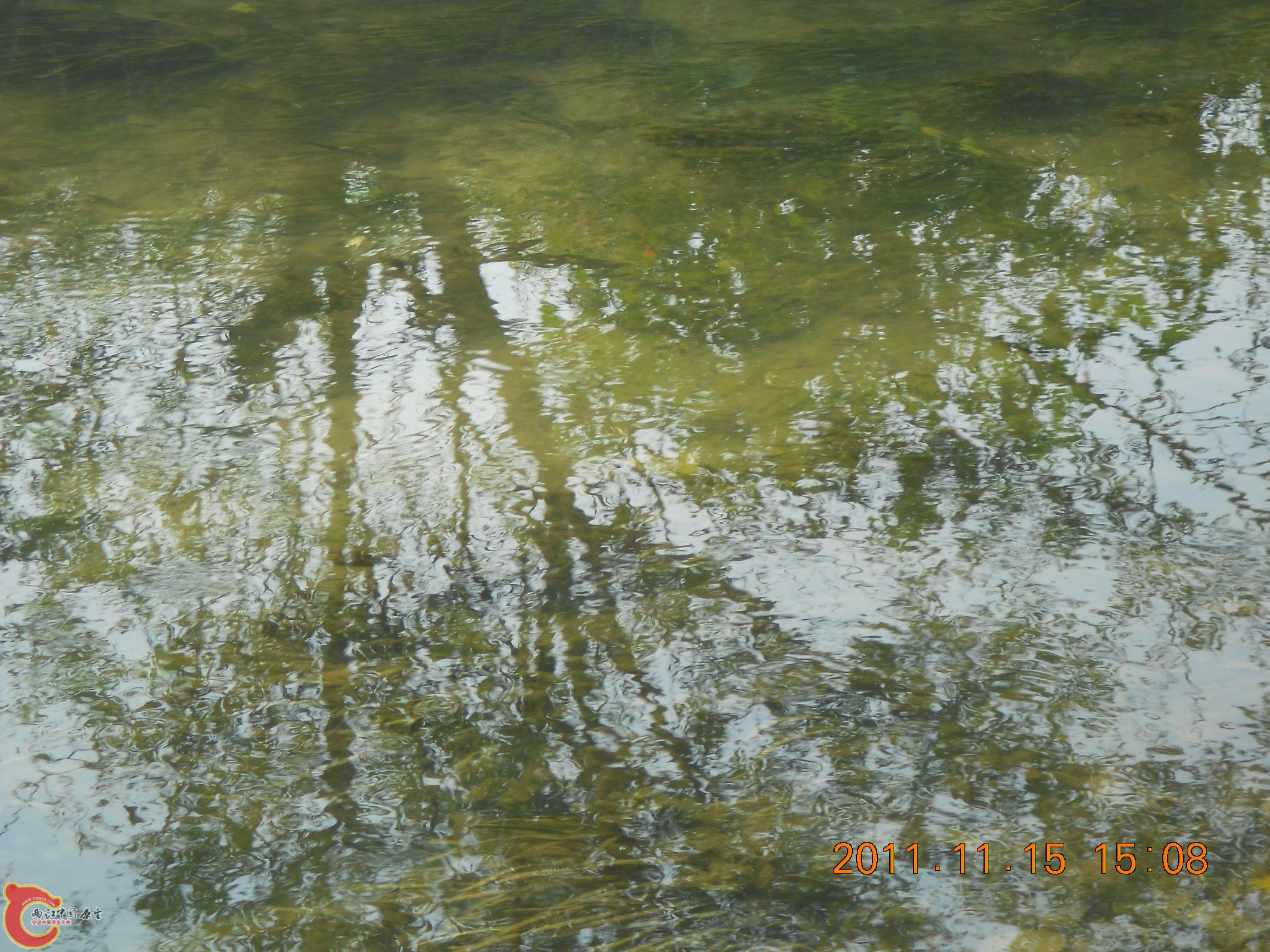 DSCN2118.JPG