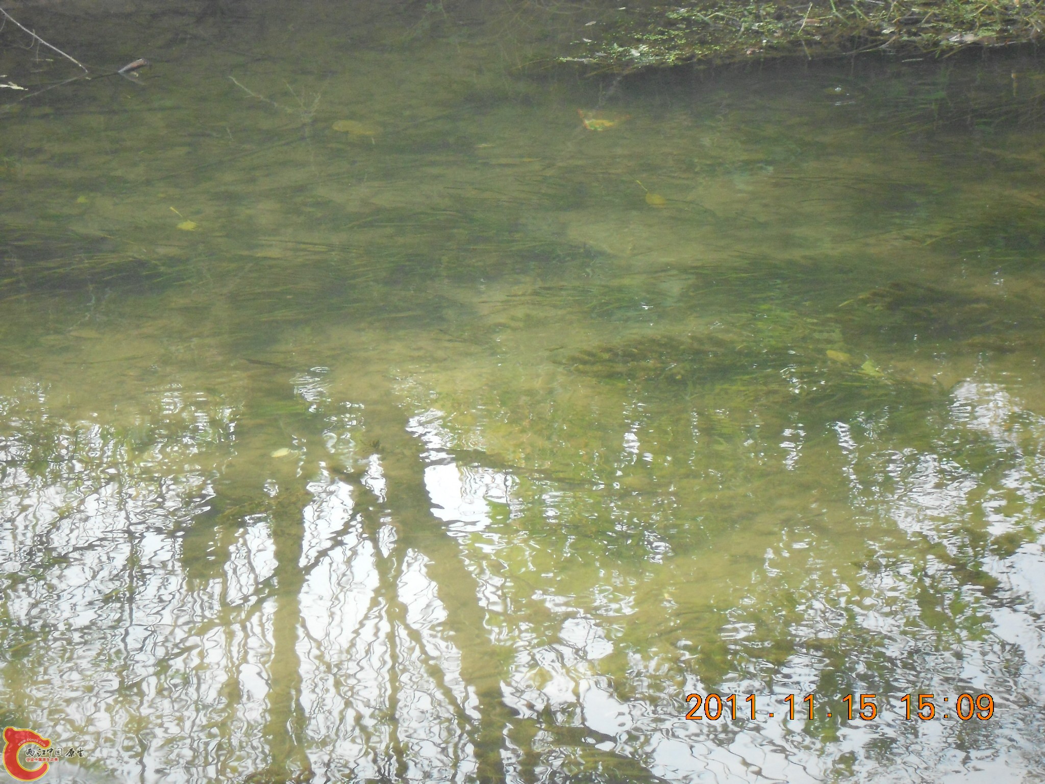 DSCN2120.JPG