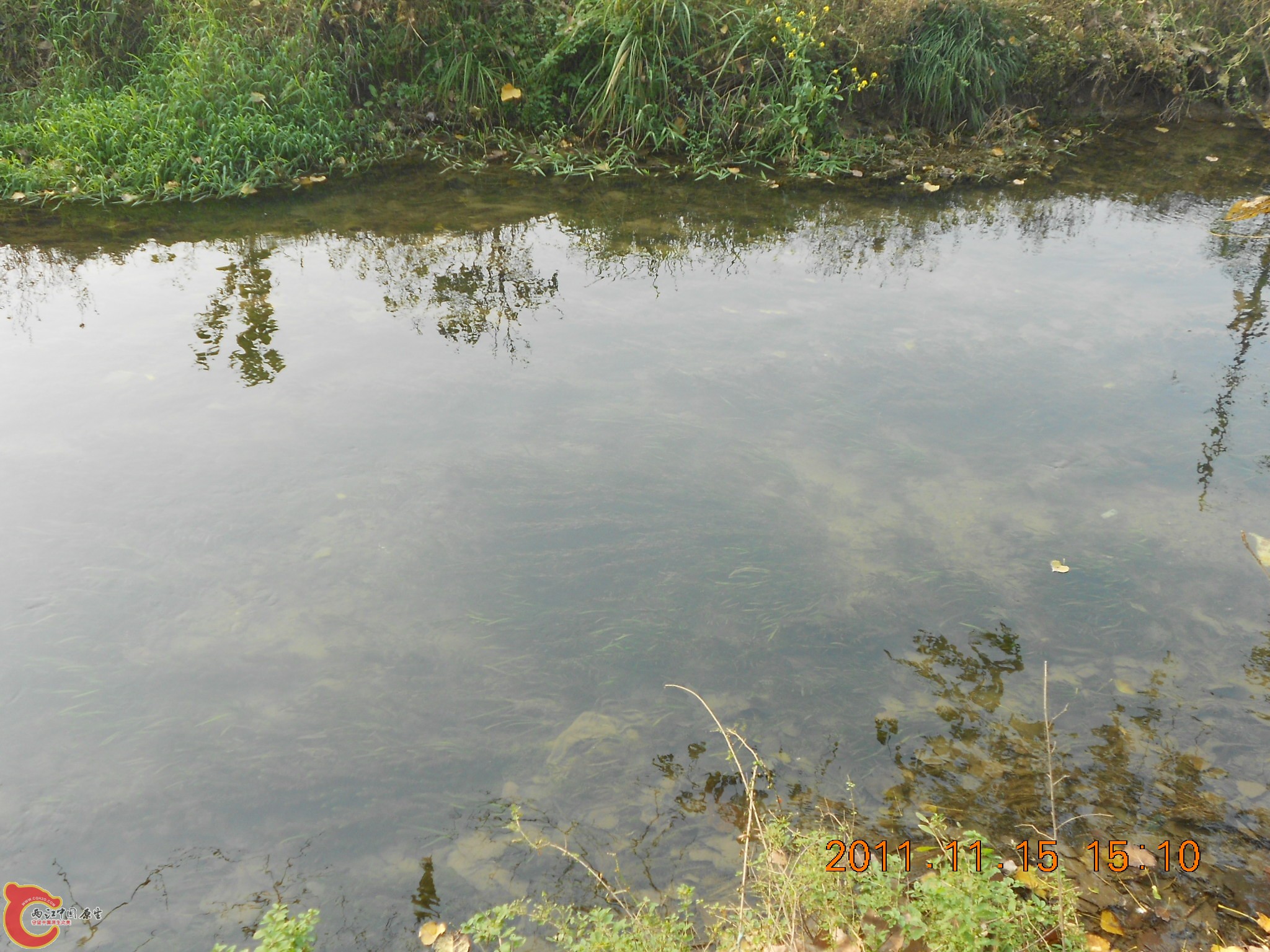 DSCN2123.JPG