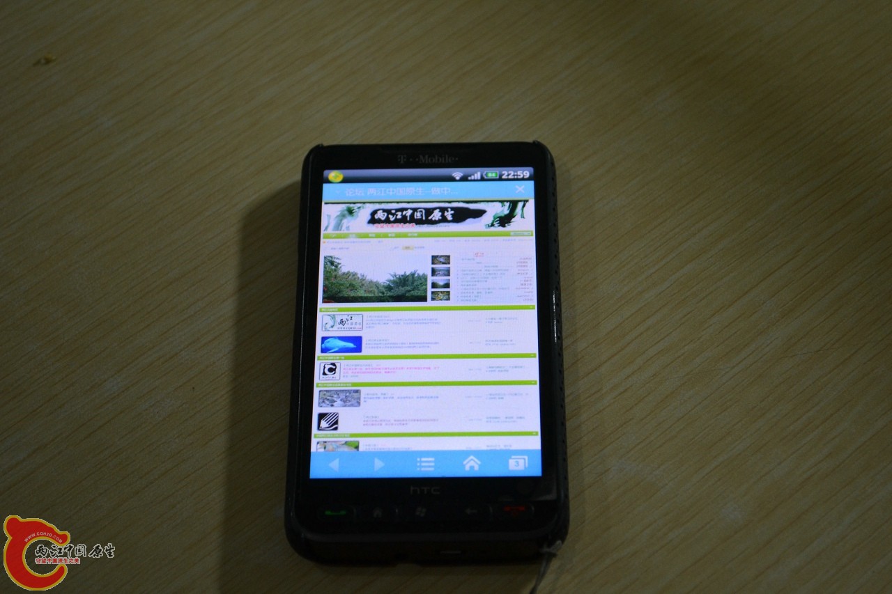 20111115-797.jpg