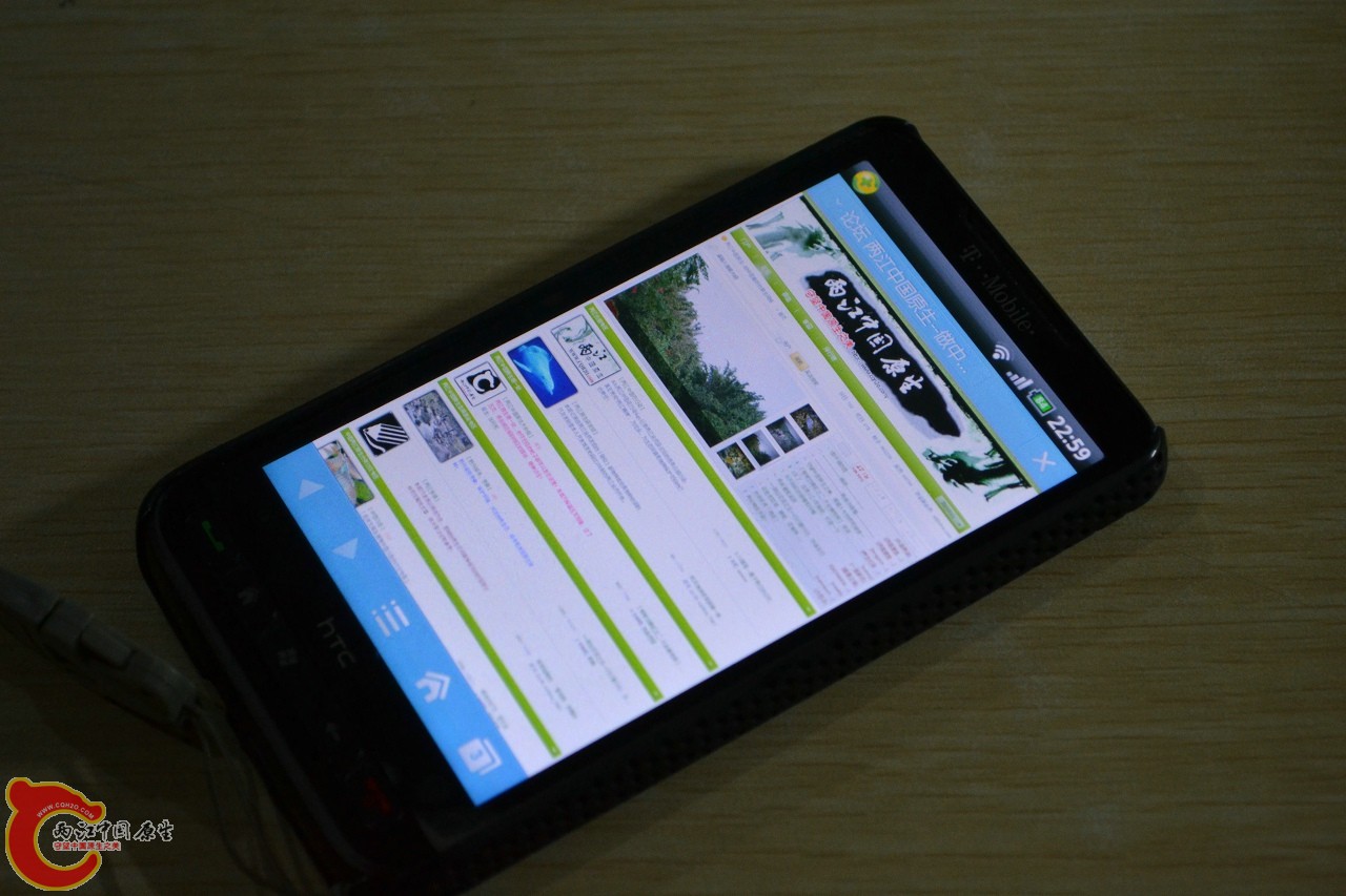 20111115-799.jpg