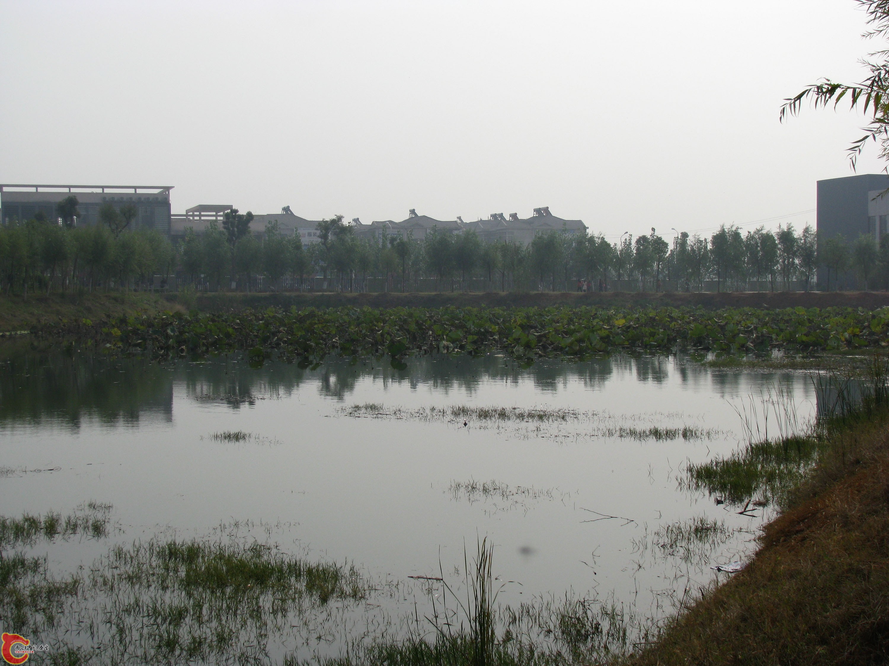 IMG_8586.JPG