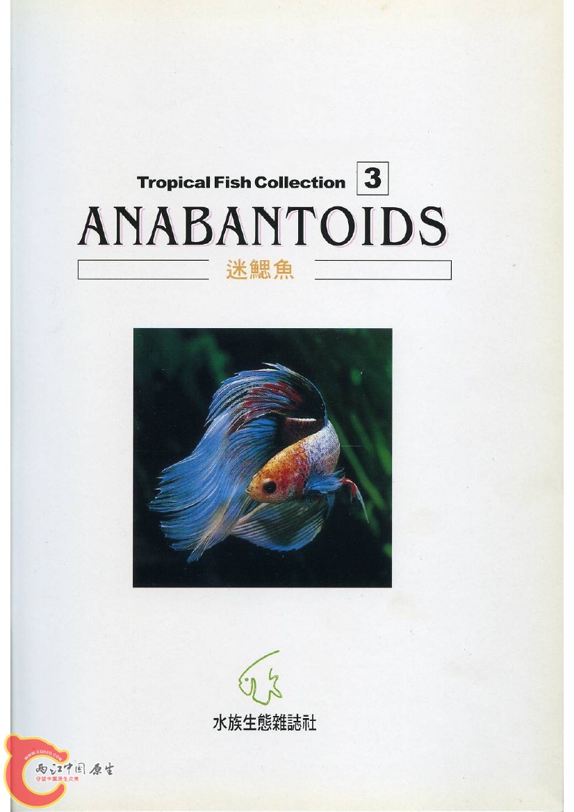 迷鳃鱼AAAB.jpg