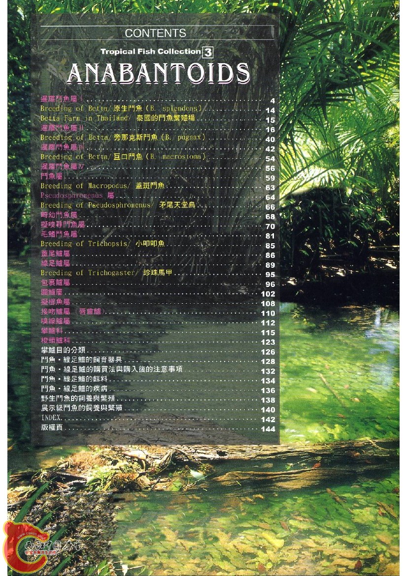 迷鳃鱼AAAC.jpg