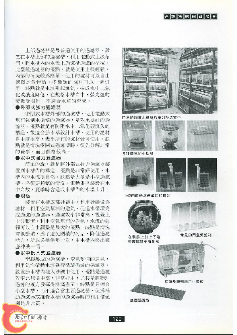 迷鳃鱼AAEZ.jpg