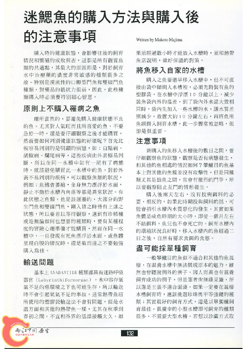 迷鳃鱼AAFC.jpg