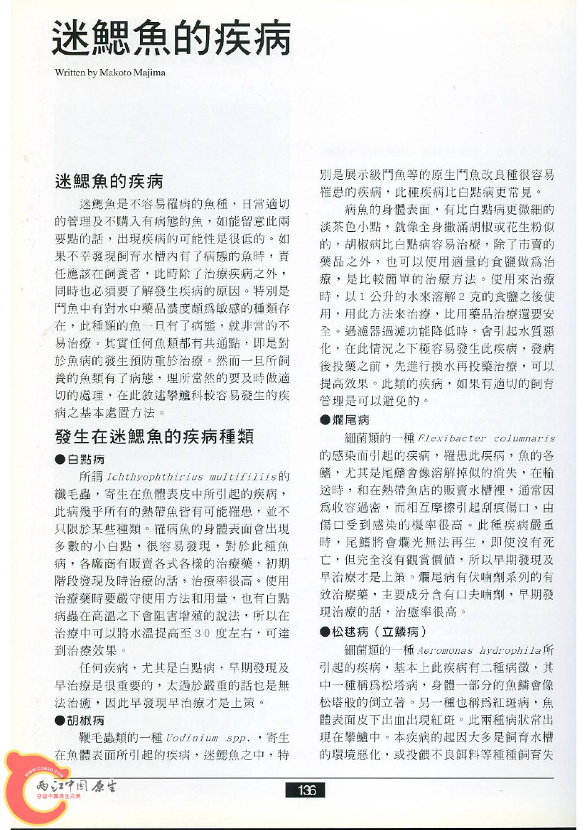 迷鳃鱼AAFG.jpg