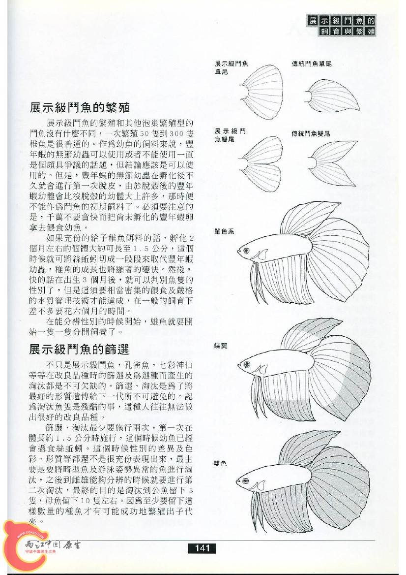 迷鳃鱼AAFL.jpg