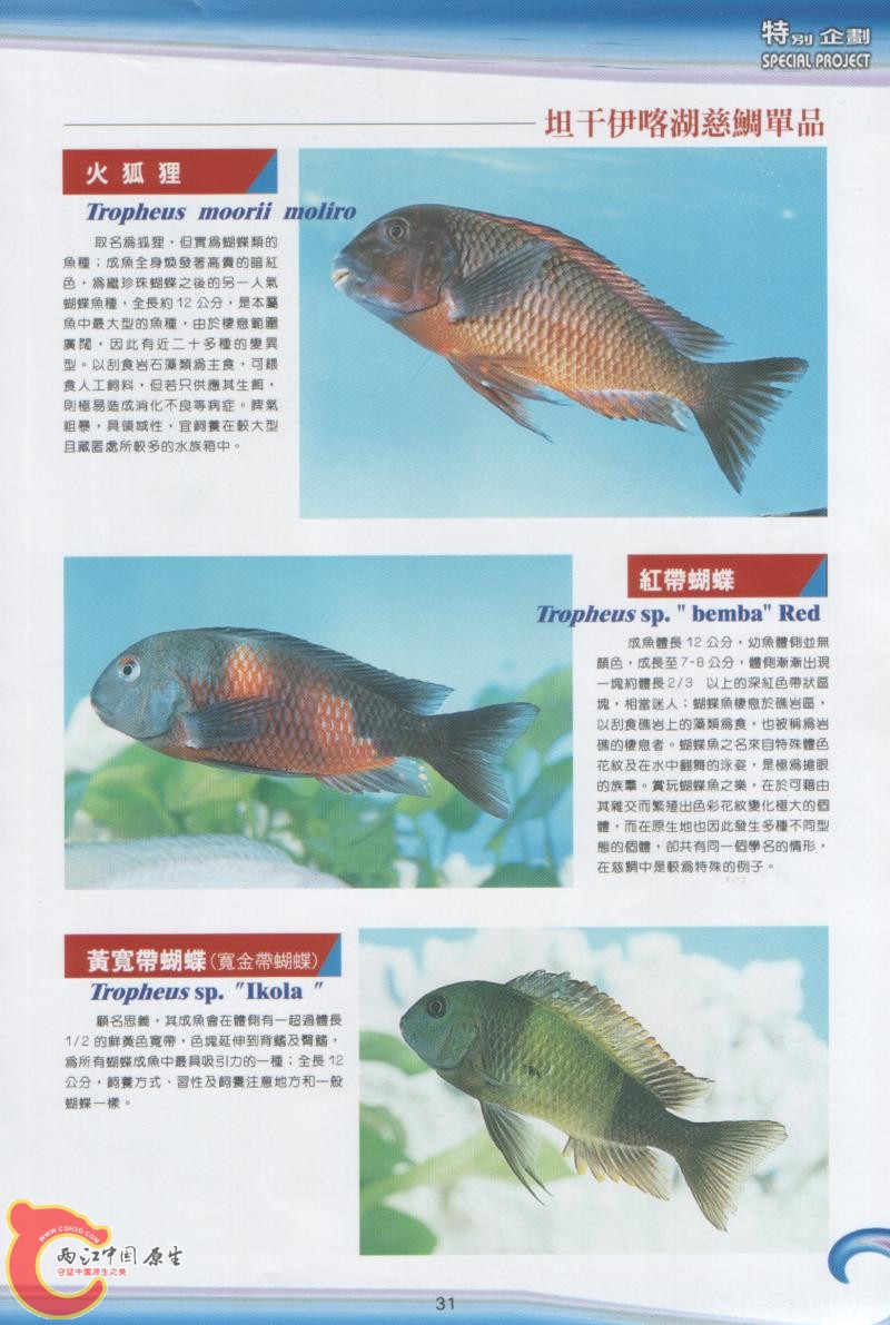02.jpg