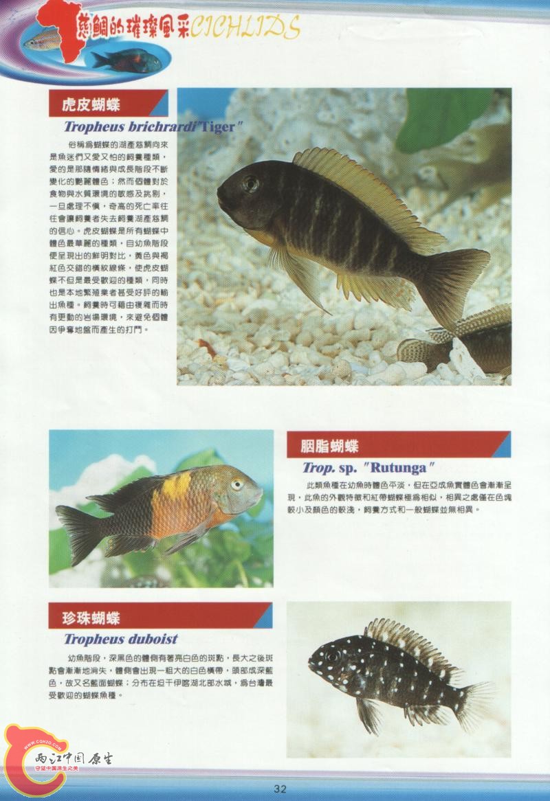 03.jpg