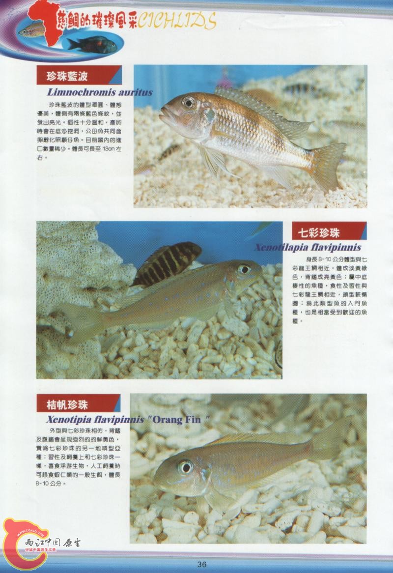 08.jpg