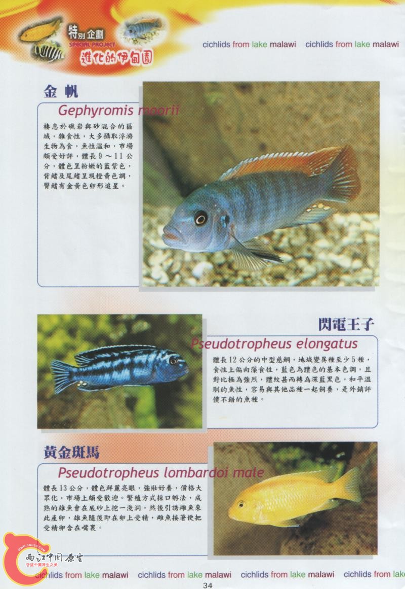 36.jpg