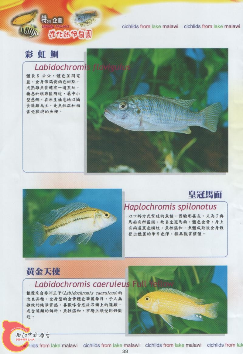 39.jpg