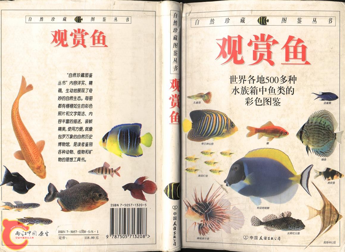 cover.jpg