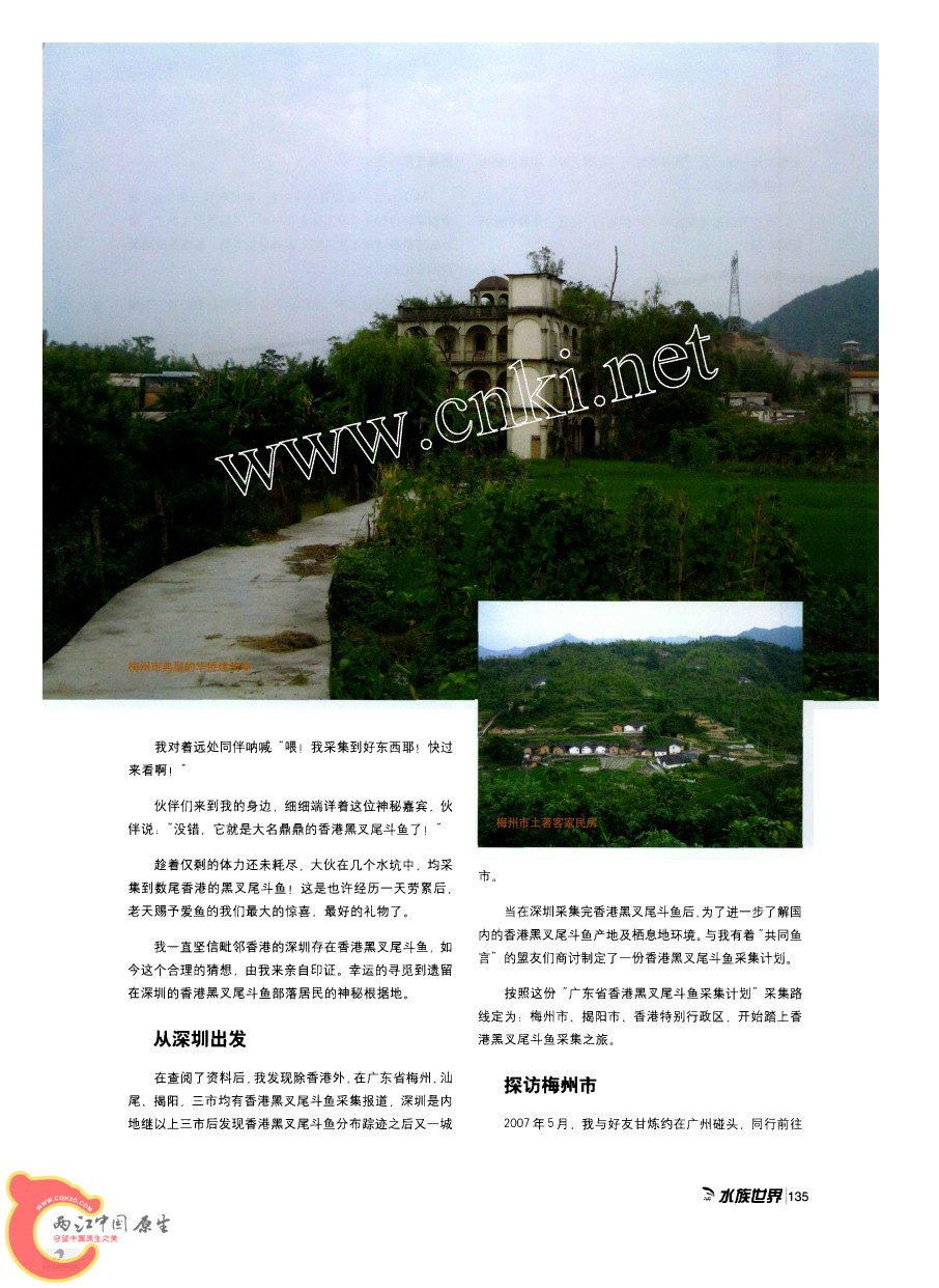 香港黑叉尾斗鱼采集之旅AAAC.jpg