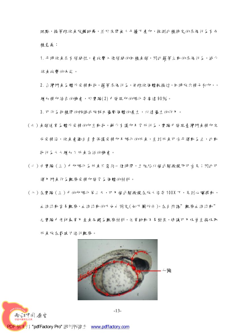 台灣天堂魚AAAN.jpg