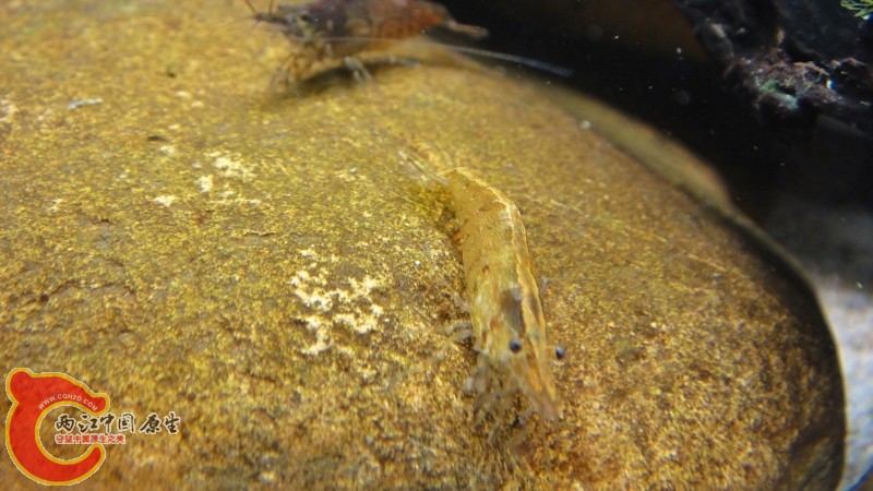 DSC02457 (800x450).jpg