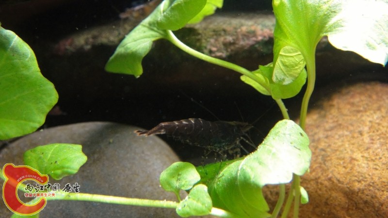 DSC02461 (800x450).jpg