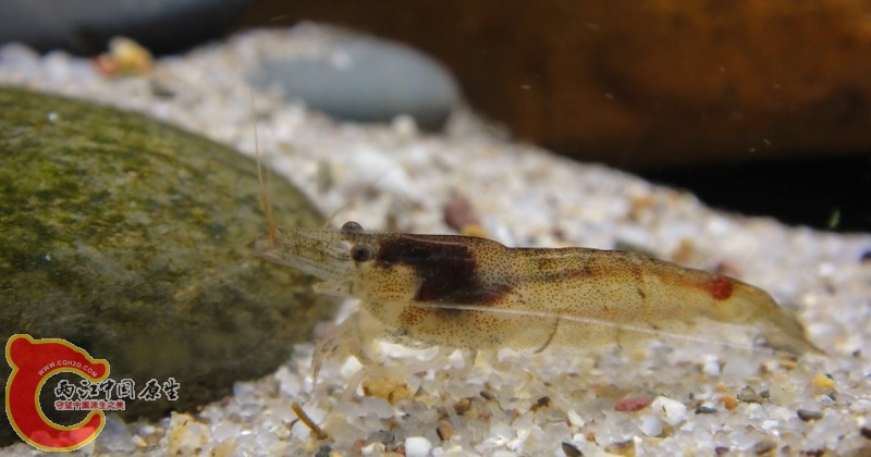 DSC02489 (800x420).jpg