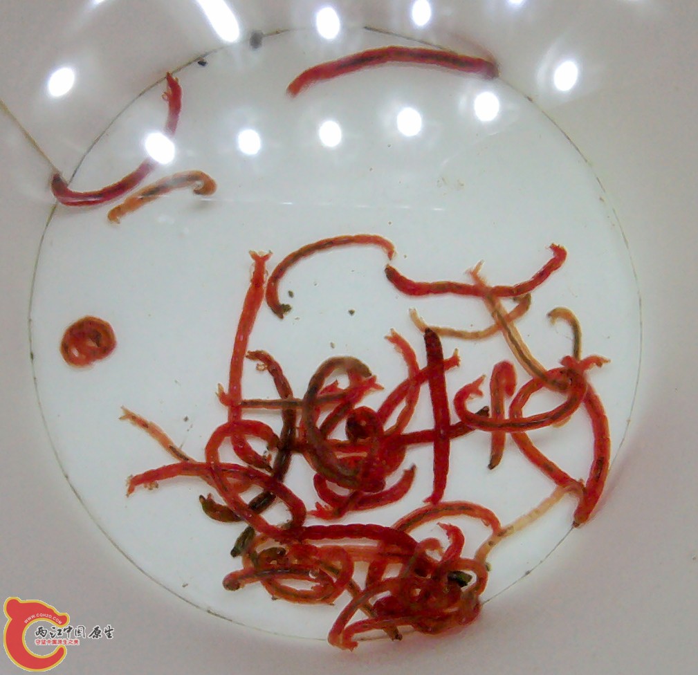 2011-11-21 22.06.47.jpg