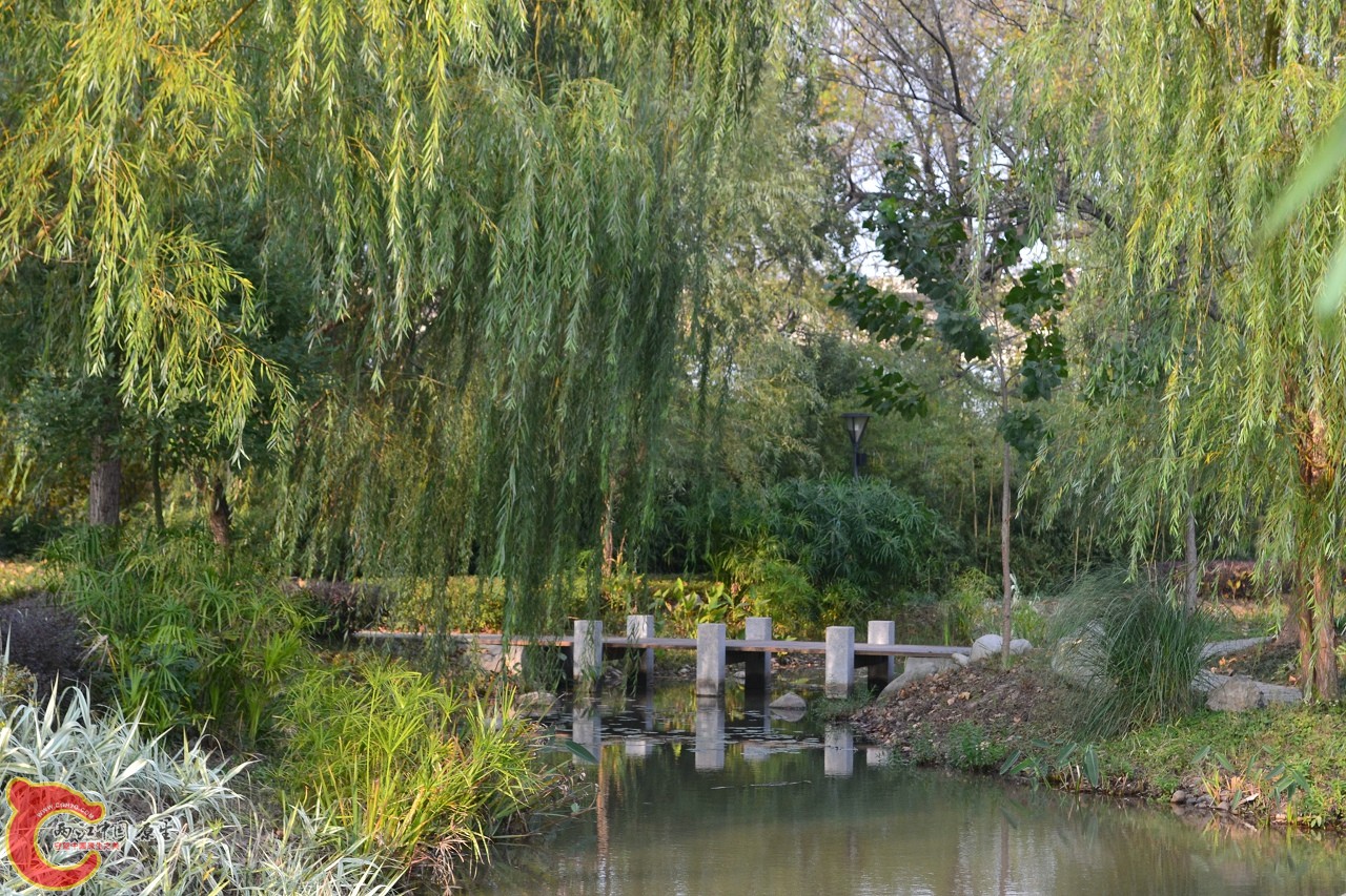 20111121-926.jpg