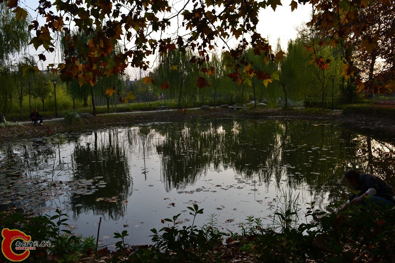 20111121-935.jpg