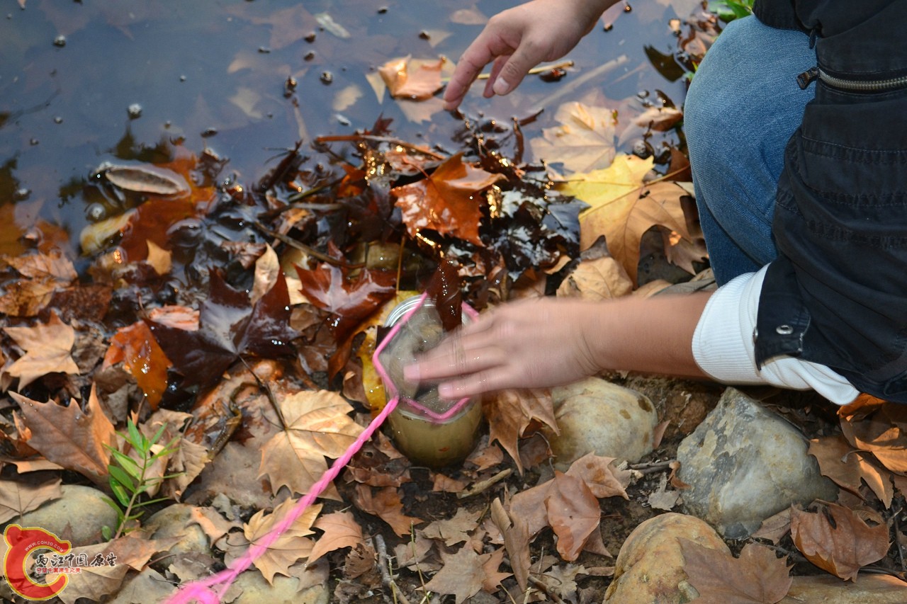 20111121-938.jpg