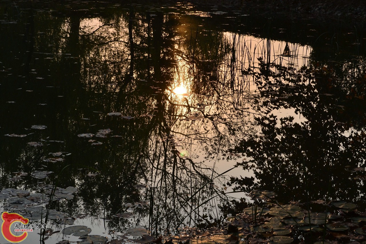 20111121-964.jpg