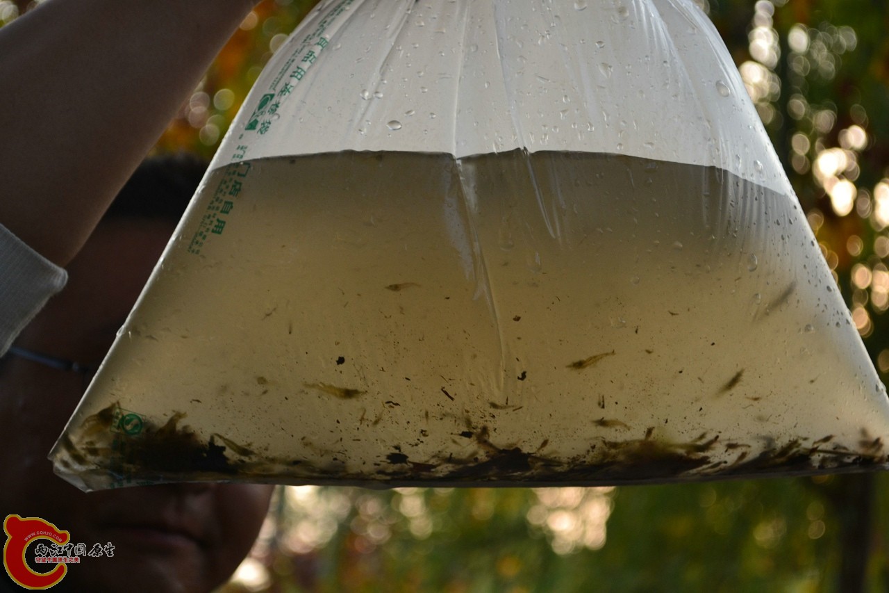 20111121-974.jpg