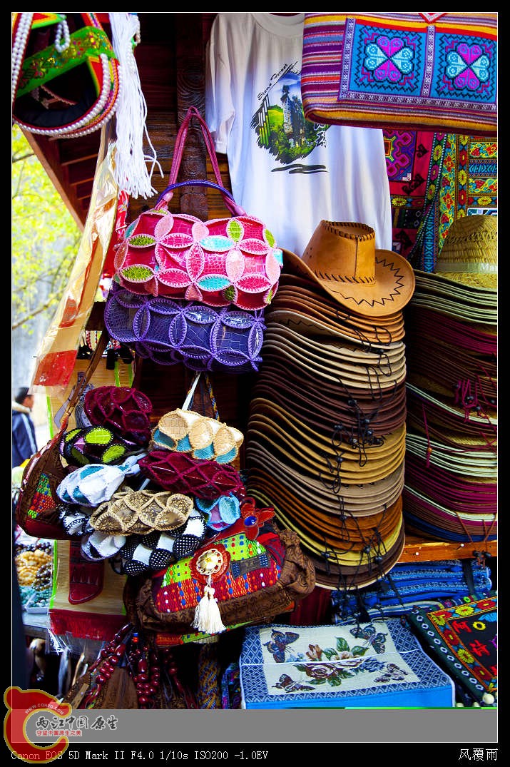 IMG_7800_nEO_IMG.jpg