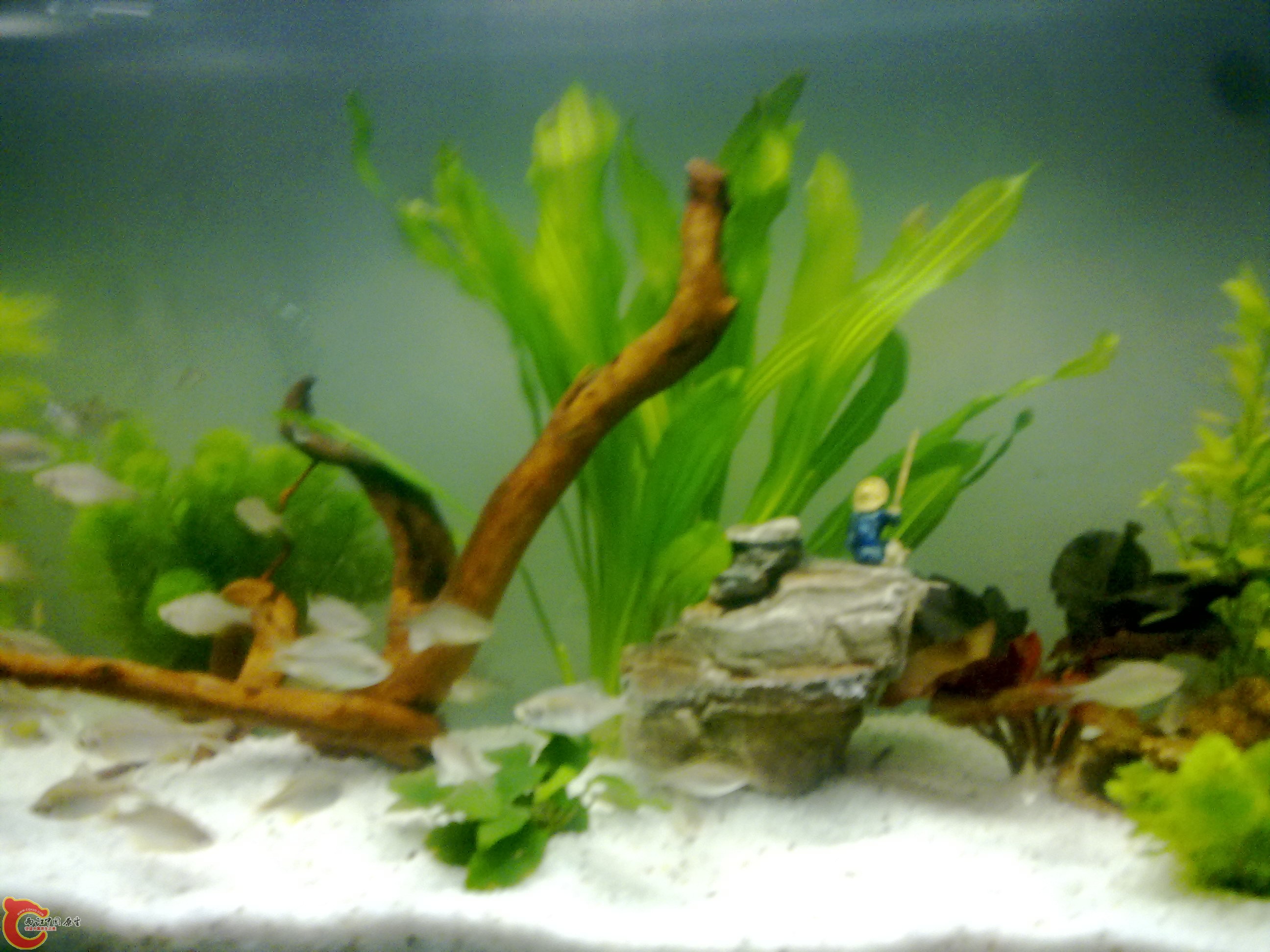 201111041017.jpg