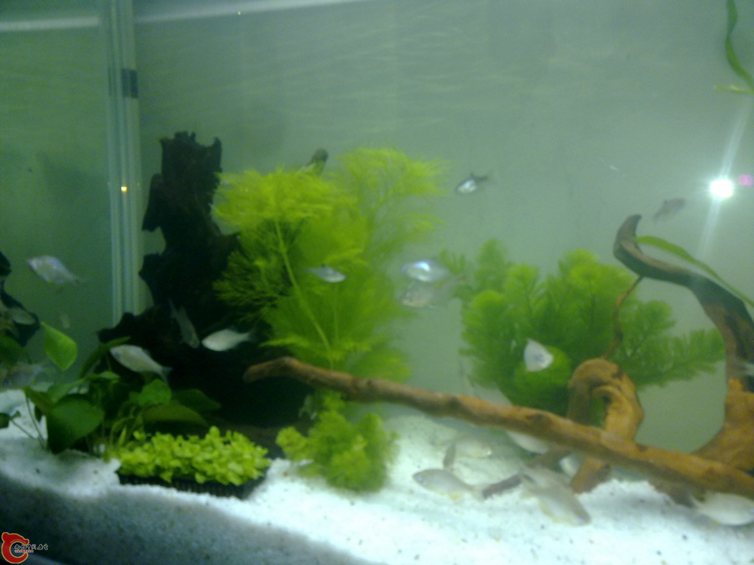 201111041018.jpg