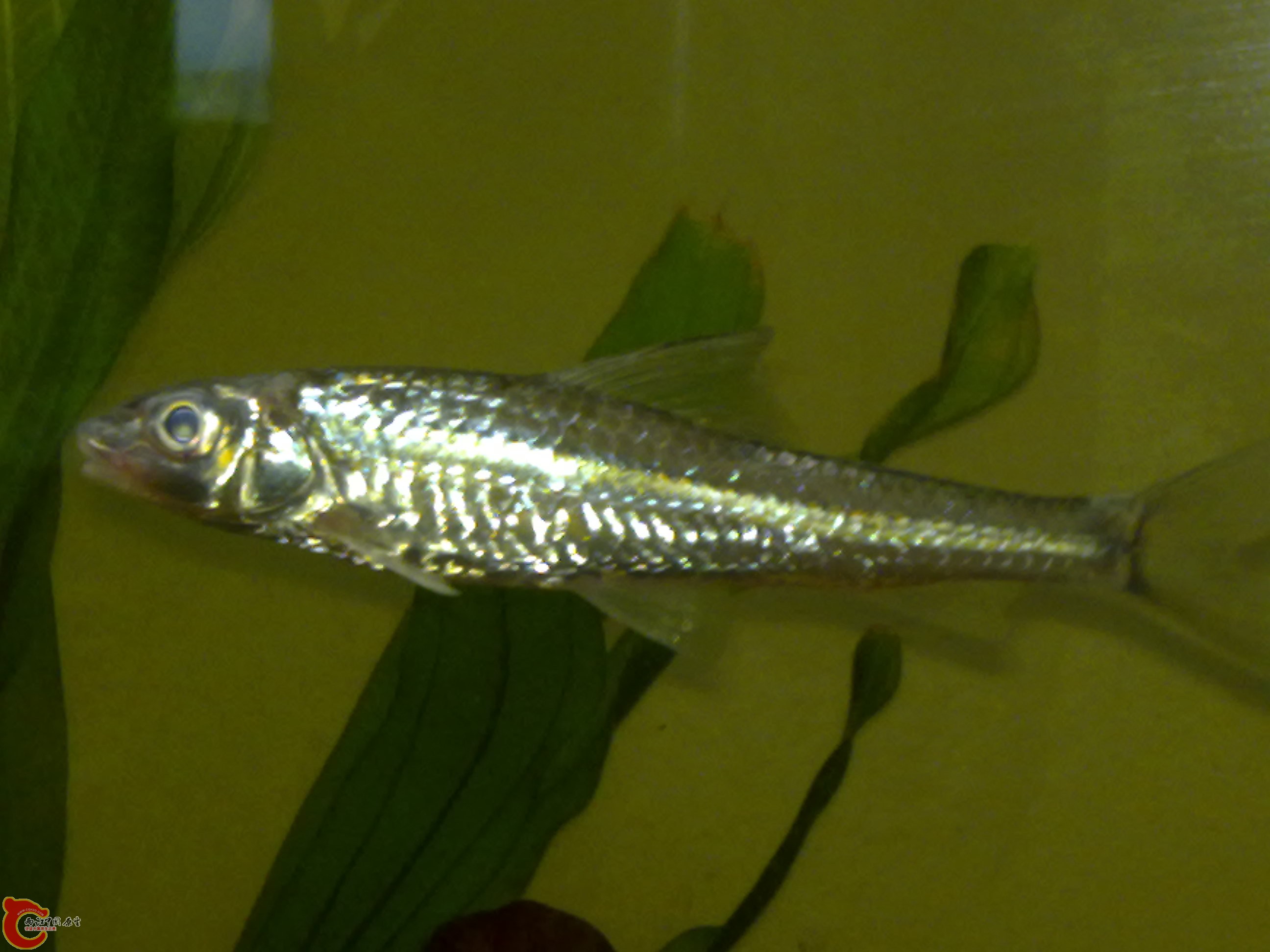 201111191115.jpg