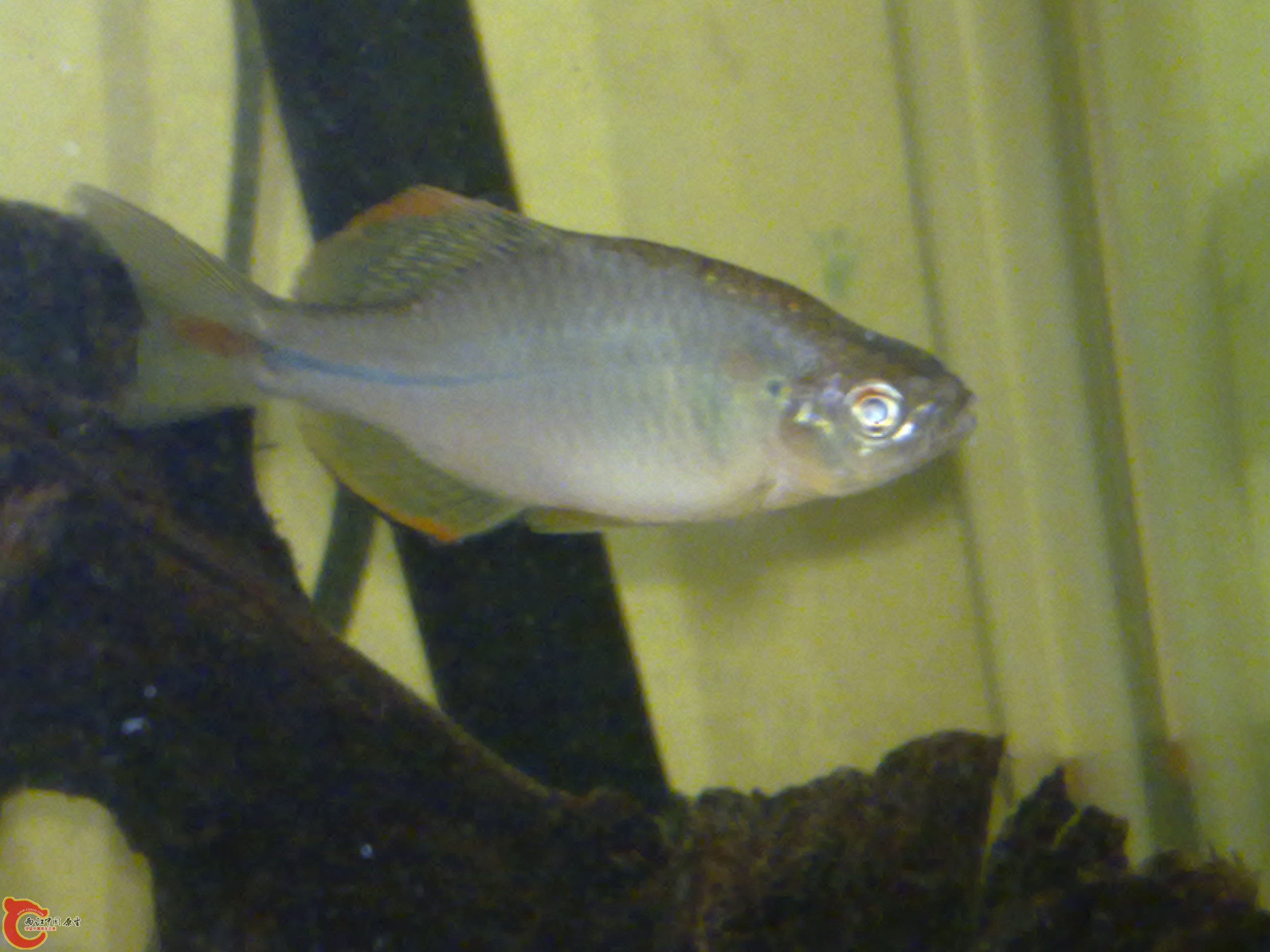 201111191119.jpg