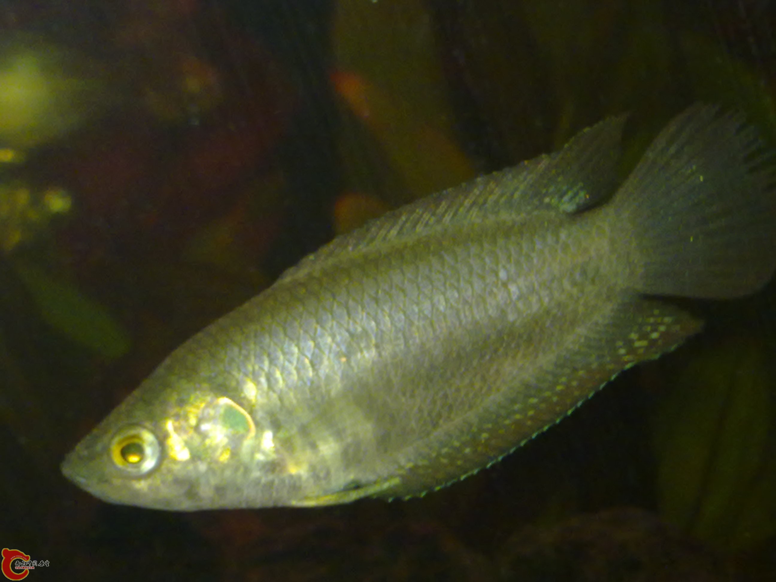 201111231209.jpg