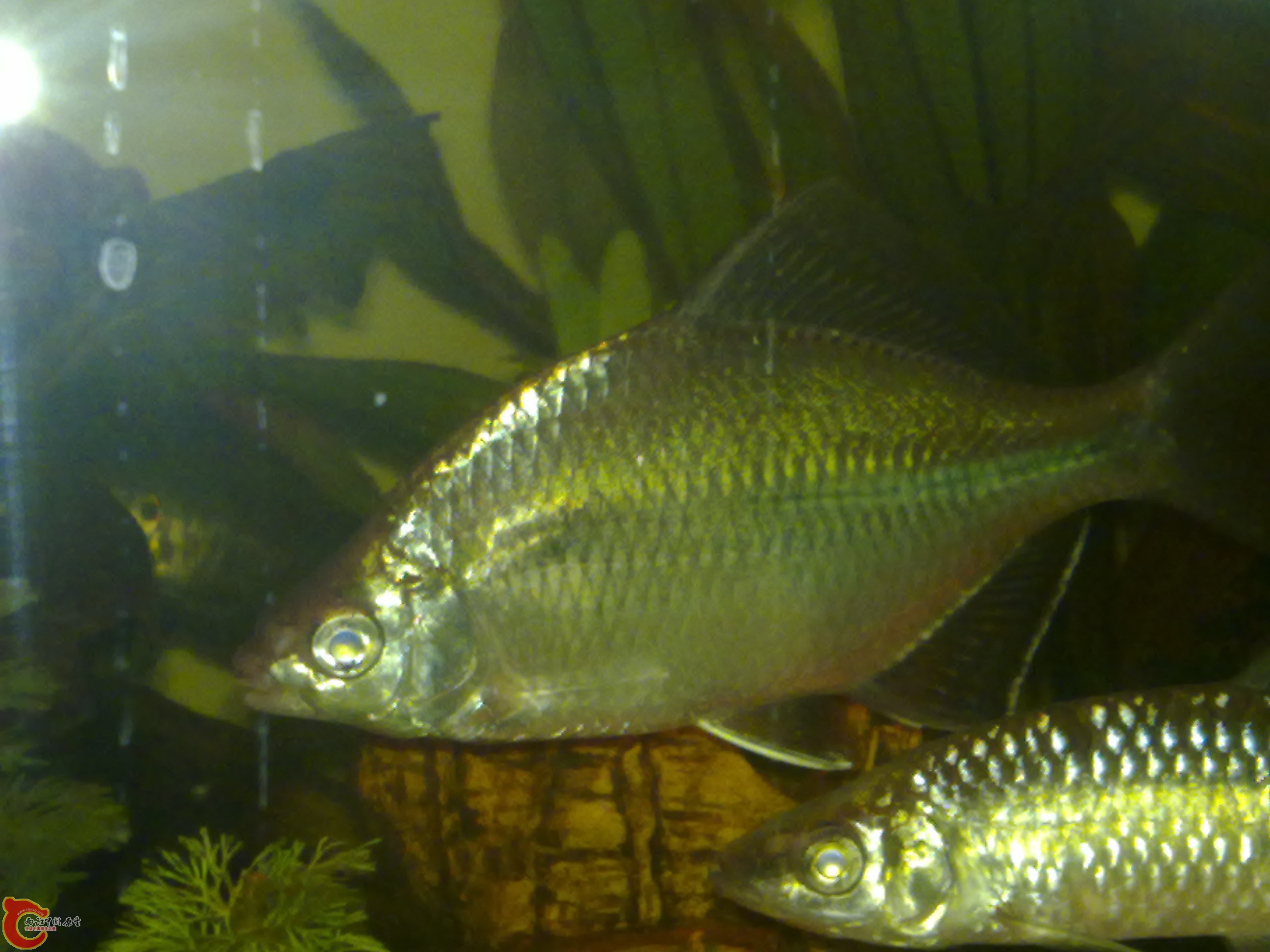 201111231221.jpg