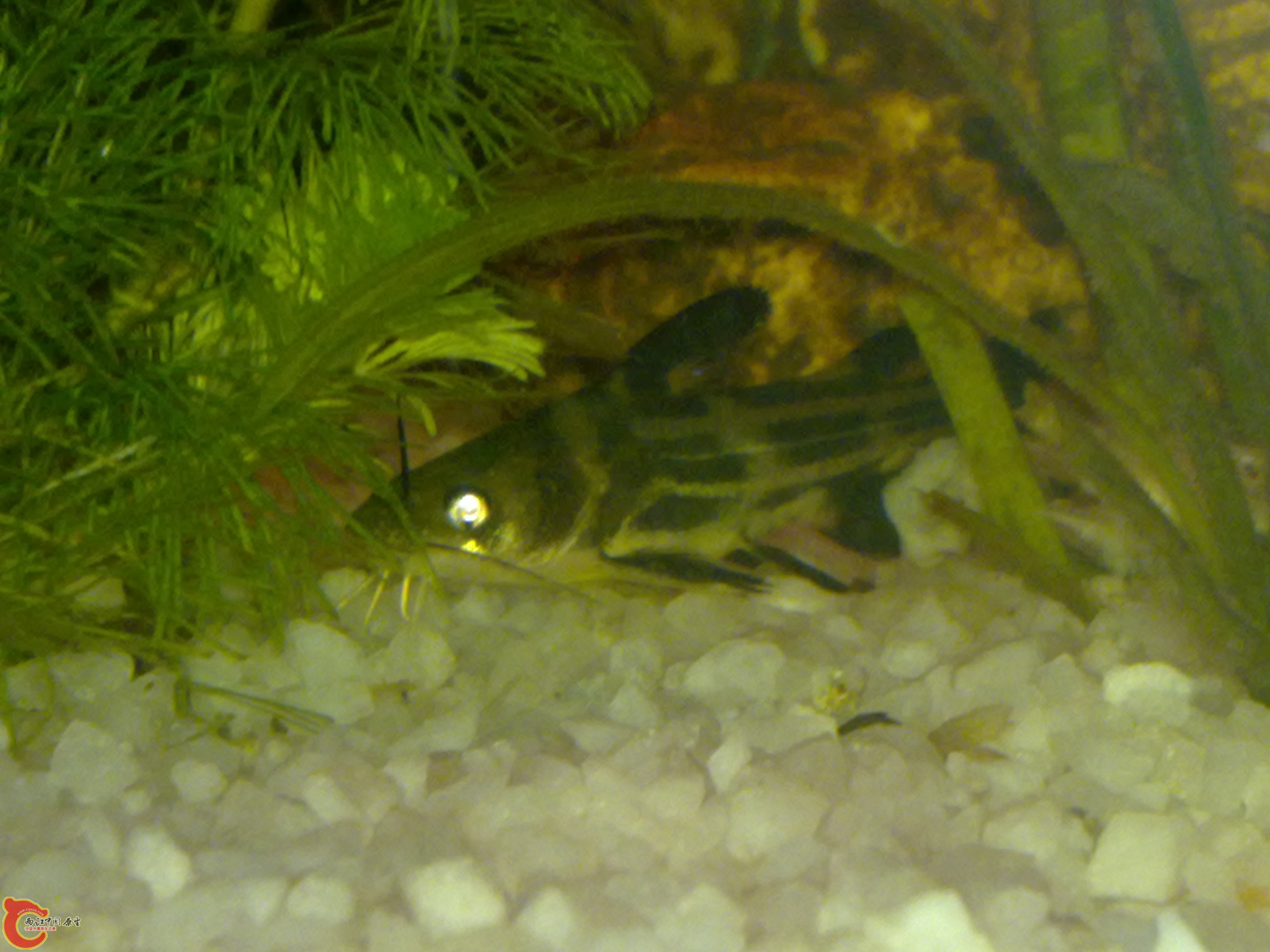 201111231235.jpg