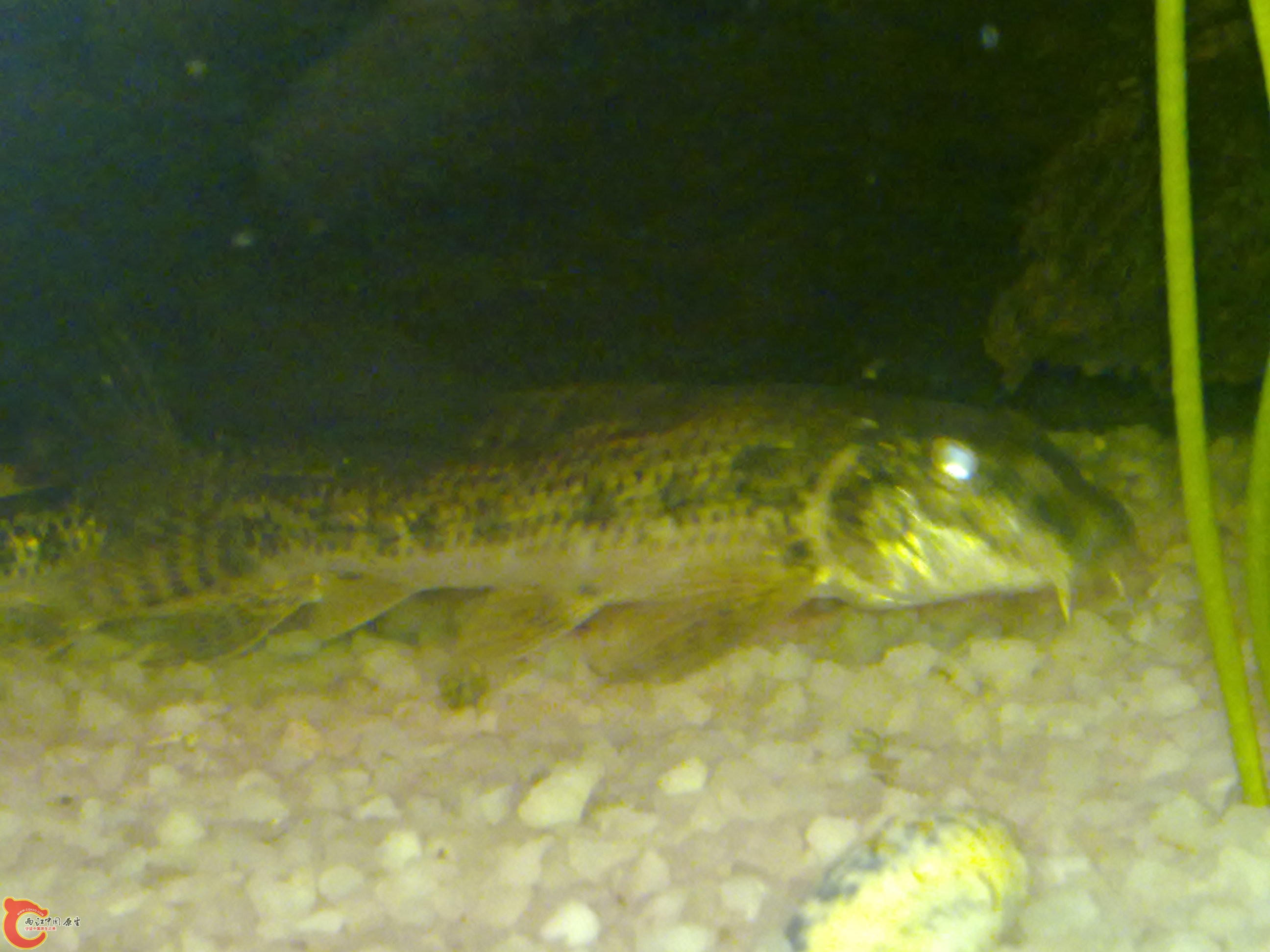 201111231236.jpg