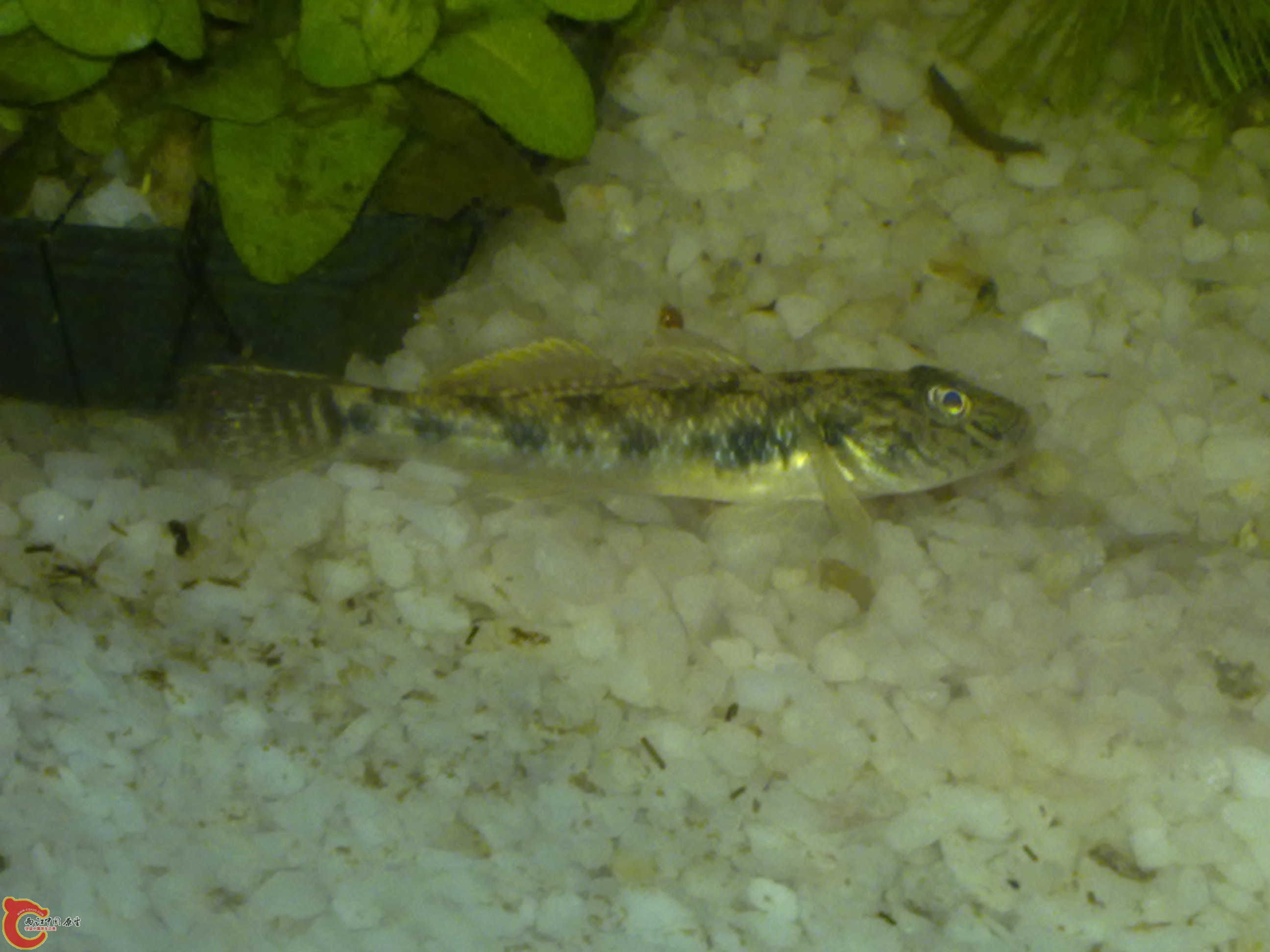 201111231238.jpg