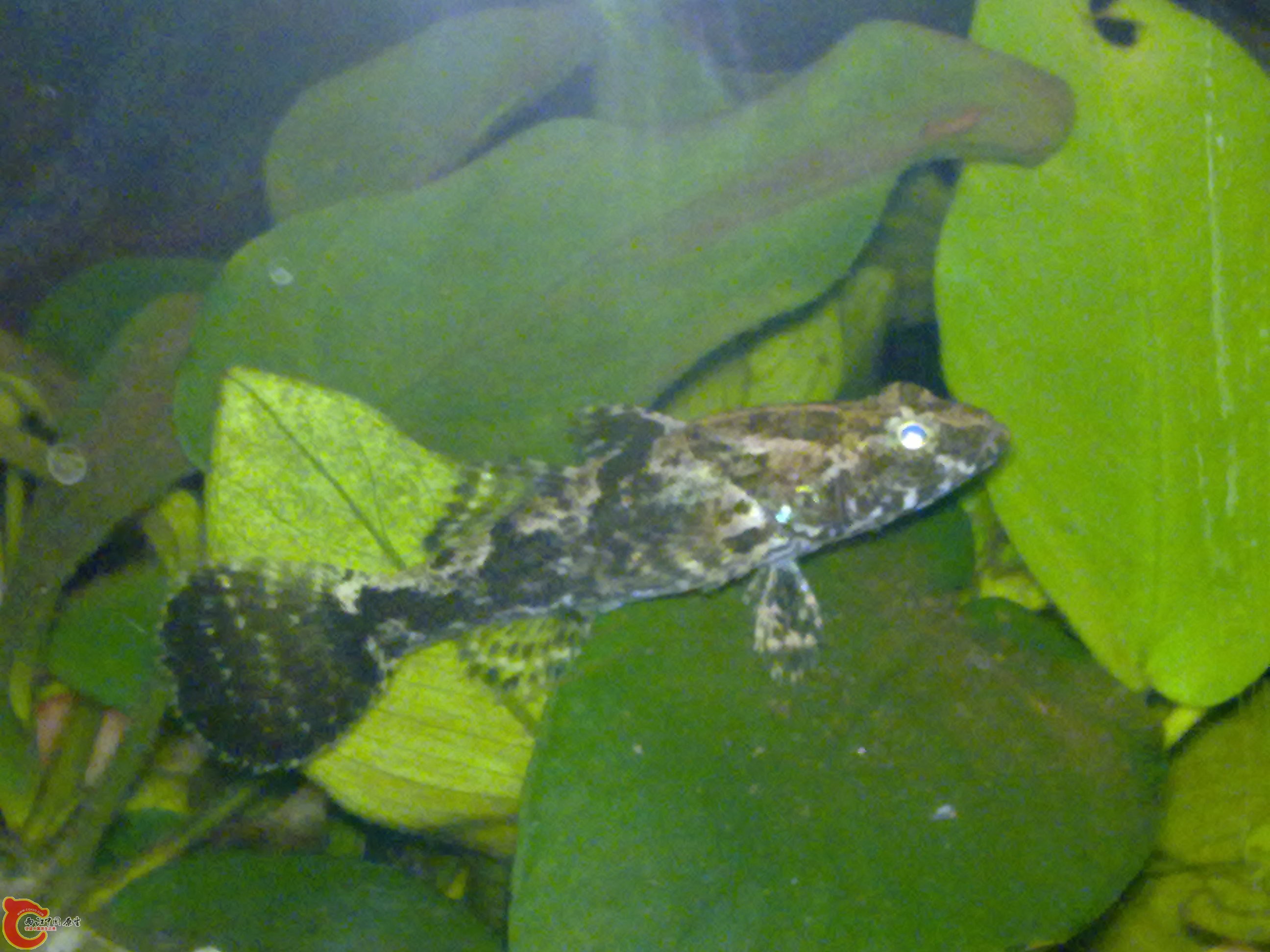 201111231250.jpg