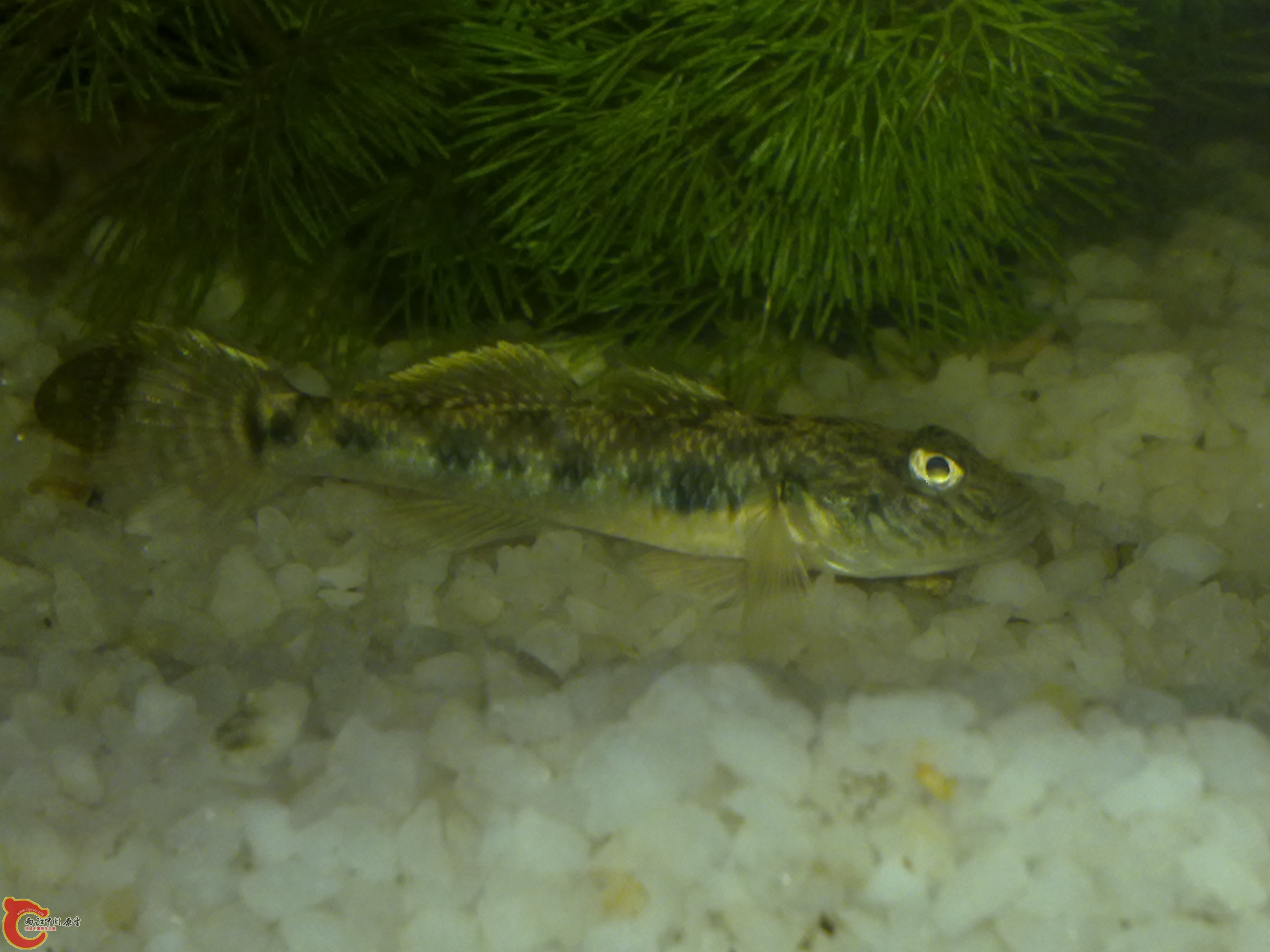 201111231260.jpg