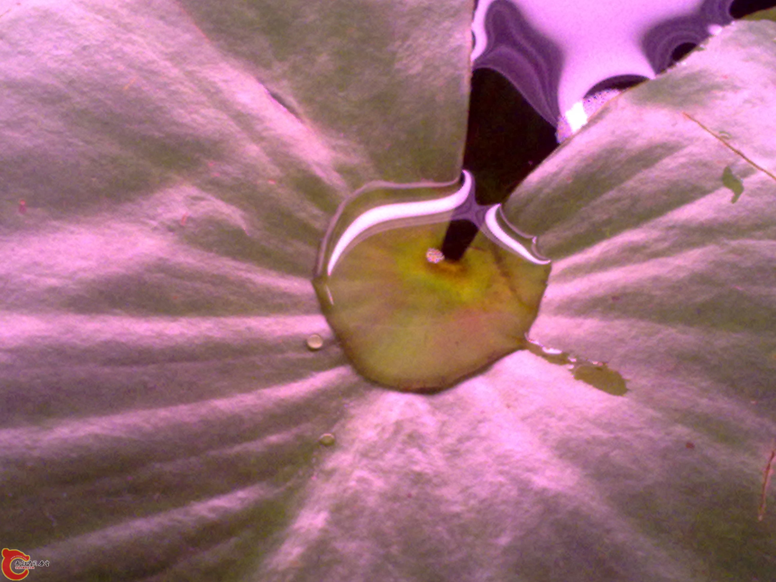 201111231274.jpg