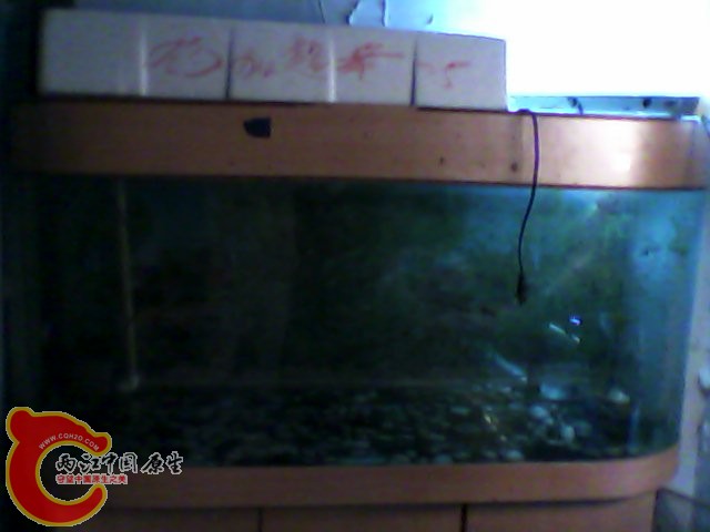 鱼缸1.jpg