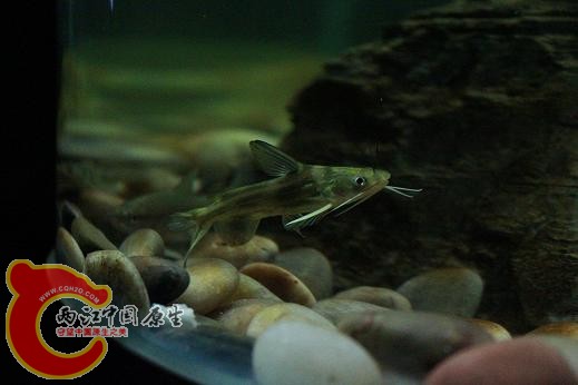 2011.11.26 060.JPG