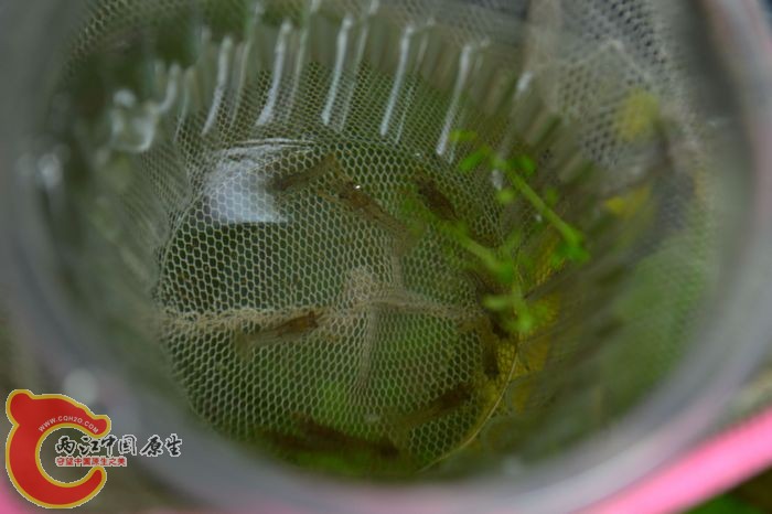 nEO_IMG_20111124-1095.jpg