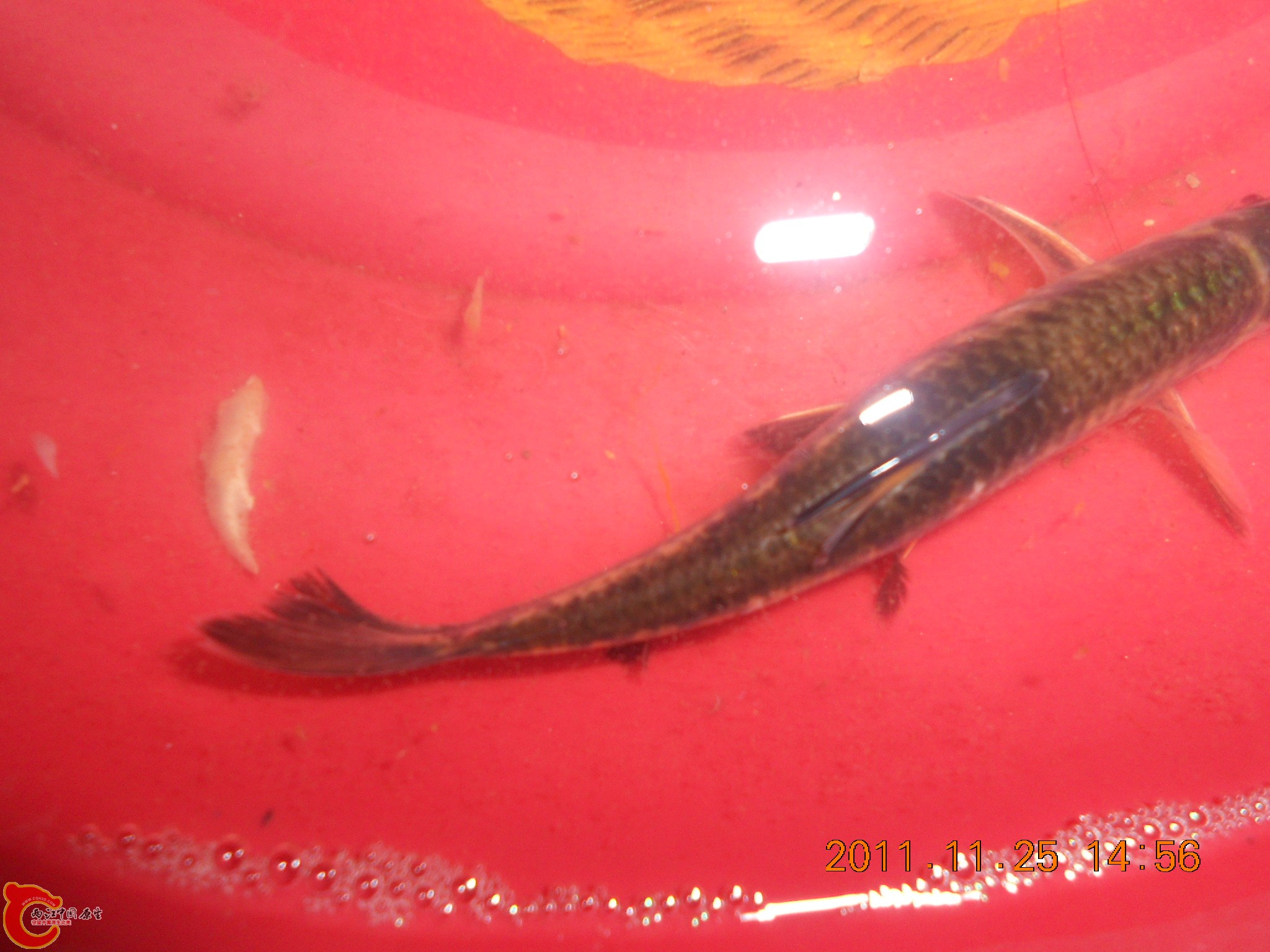 DSCN2228.JPG