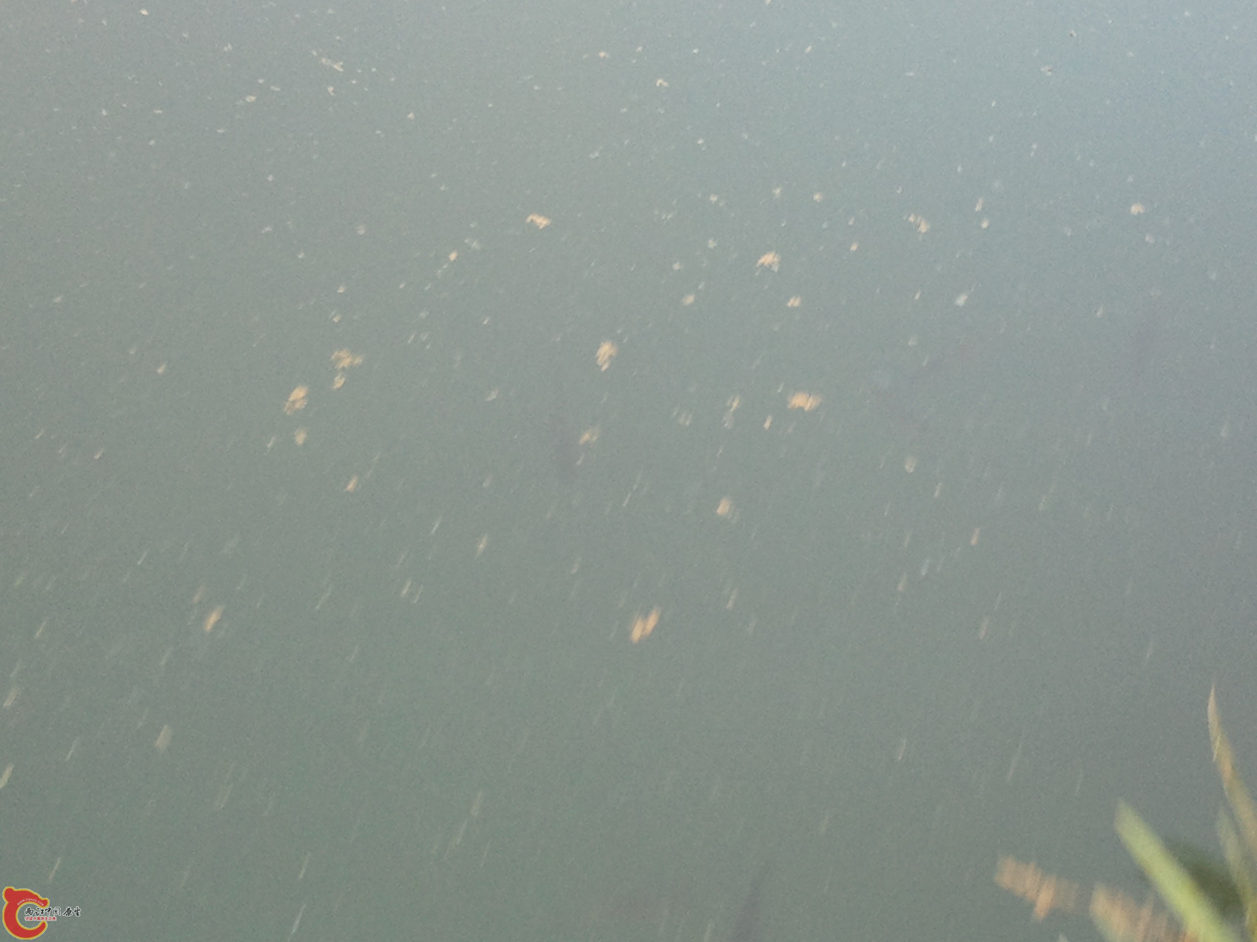 2011-11-29 16.22.57.jpg